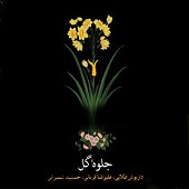 کرشمه از علیرضا قربانی